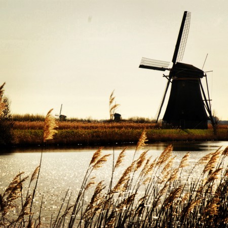 Holland:Kinderdijk